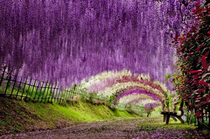 TUNEL Kawachi fuji