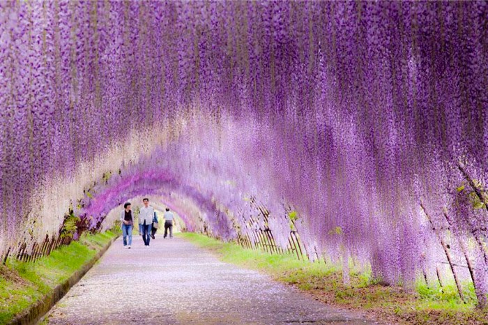 TUNEL Kawachi fuji_10