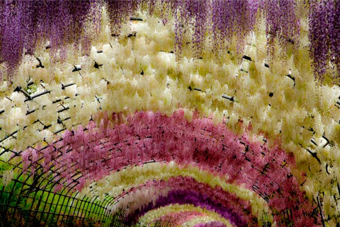 TUNEL Kawachi fuji_4