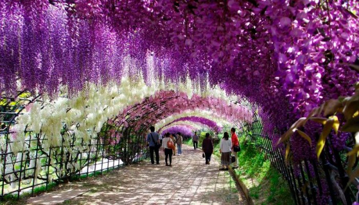 TUNEL Kawachi fuji_5