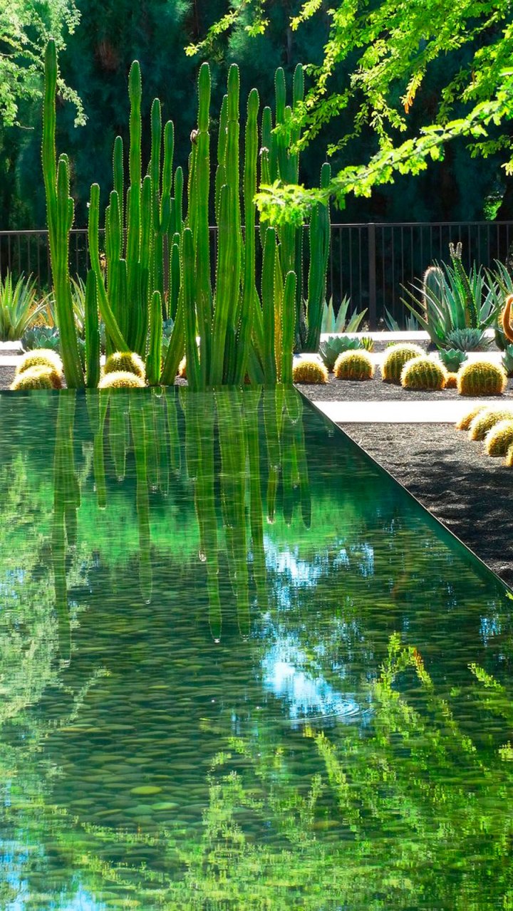 Estanques: el agua como elemento&nbsp;decorativo