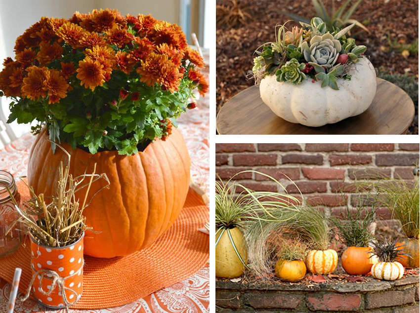 0_calabazas-flores